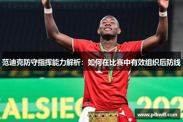 范迪克防守指挥能力解析：如何在比赛中有效组织后防线