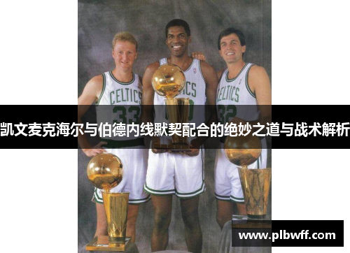 凯文麦克海尔与伯德内线默契配合的绝妙之道与战术解析