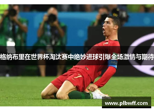 格纳布里在世界杯淘汰赛中绝妙进球引爆全场激情与期待