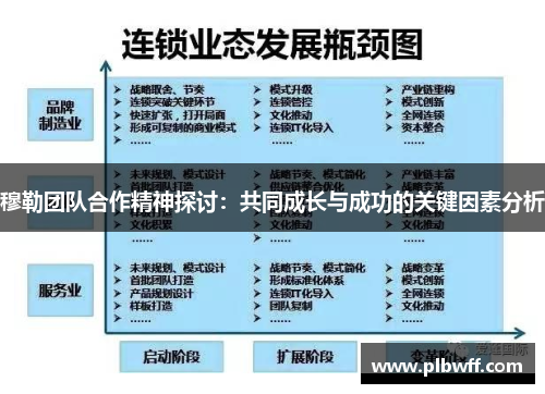 穆勒团队合作精神探讨：共同成长与成功的关键因素分析
