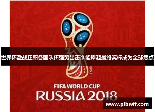 世界杯激战正酣各国队伍强势出击谁能捧起最终奖杯成为全球焦点