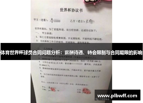 体育世界杯球员合同问题分析：薪酬待遇、转会限制与合同期限的影响
