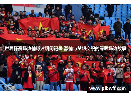 世界杯赛场热情球迷瞬间记录 激情与梦想交织的绿茵场边故事