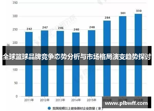 全球篮球品牌竞争态势分析与市场格局演变趋势探讨