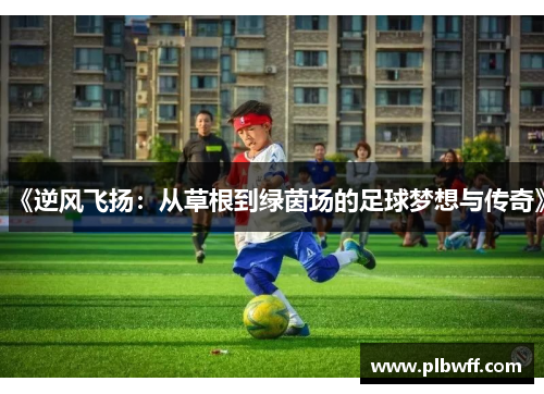 《逆风飞扬：从草根到绿茵场的足球梦想与传奇》