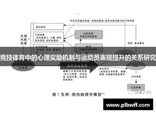 竞技体育中的心理奖励机制与运动员表现提升的关系研究