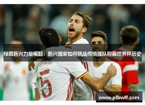 绿茵新兴力量崛起：新兴国家如何挑战传统强队称霸世界杯历史