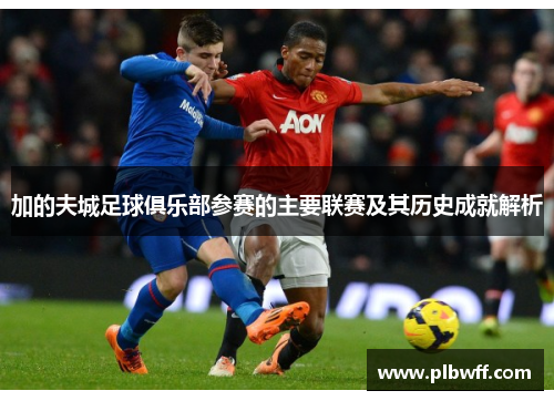 加的夫城足球俱乐部参赛的主要联赛及其历史成就解析