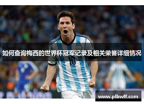 如何查询梅西的世界杯冠军记录及相关荣誉详细情况