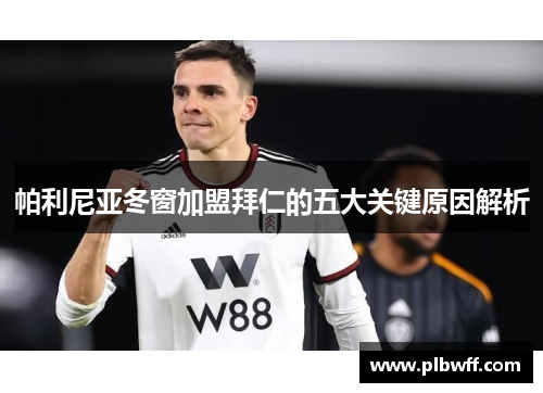 帕利尼亚冬窗加盟拜仁的五大关键原因解析