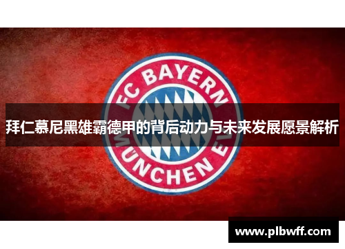 拜仁慕尼黑雄霸德甲的背后动力与未来发展愿景解析