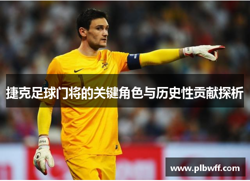 捷克足球门将的关键角色与历史性贡献探析 捷克足球门将的关键角色与历史性贡献探析