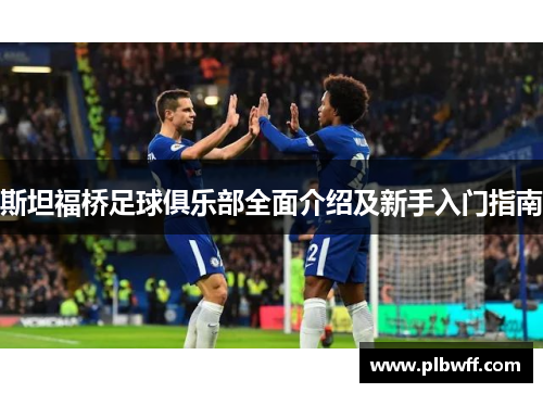 斯坦福桥足球俱乐部全面介绍及新手入门指南